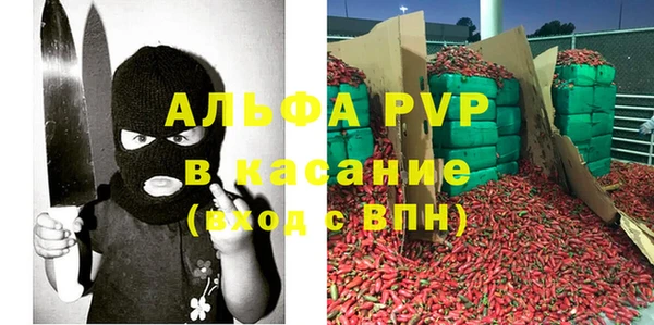 шишки Аркадак