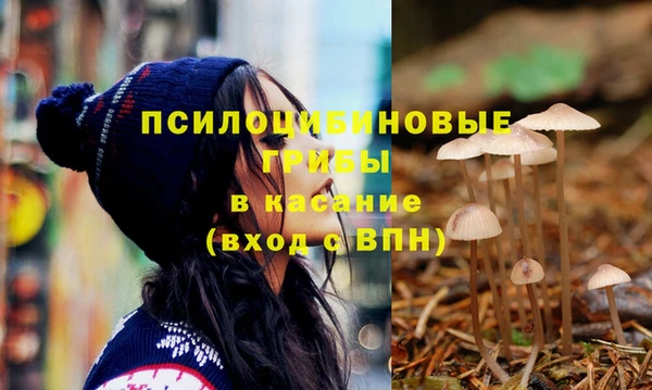 шишки Аркадак