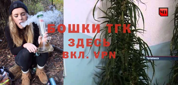 шишки Аркадак
