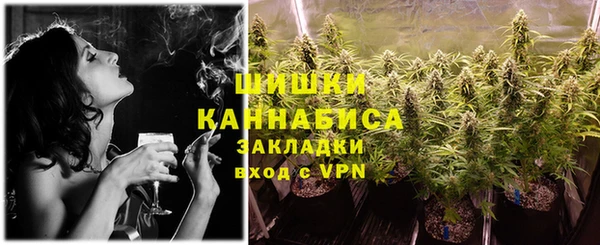 шишки Аркадак
