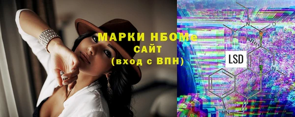 шишки Аркадак