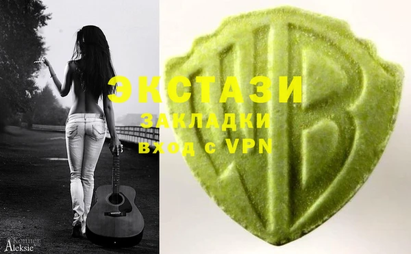 шишки Аркадак