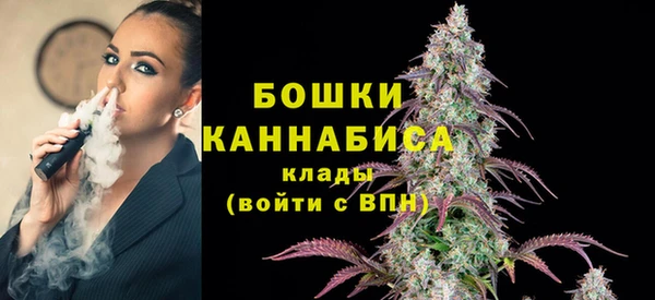 шишки Аркадак